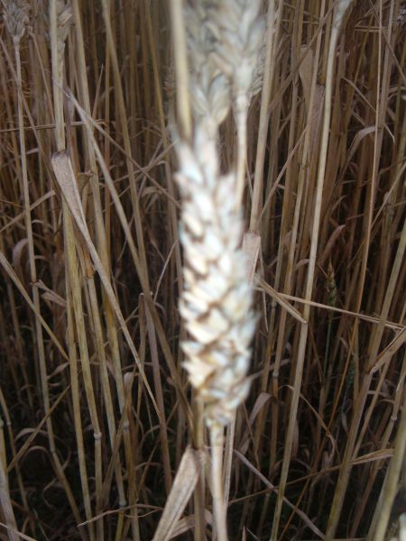 Tak to vsechno zacalo